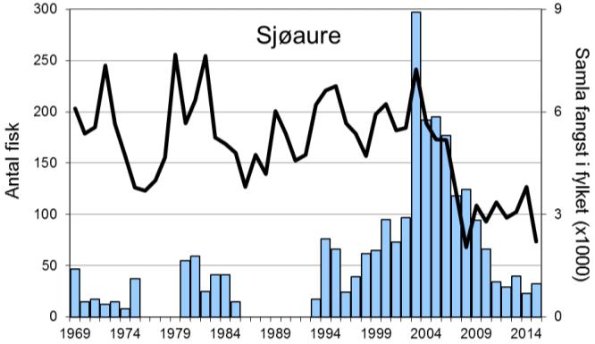 Gjennomsnittleg fangst av sjøaure 1969-2015 var 67 per år (snittvekt 1,6 kg), men det er store mellomårsvariasjonar, og fleire år utan registrert fangst av sjøaure.