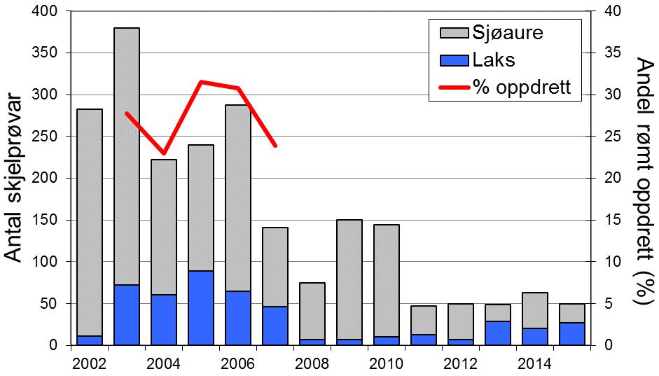 Sjøaurefangstane gjekk nedover frå 2000-2008, men auka att dei to neste åra. Utviklinga i sjøaurefangstane i Jølstra har i liten grad samvariert med resten av fylket (figur 1, linje).