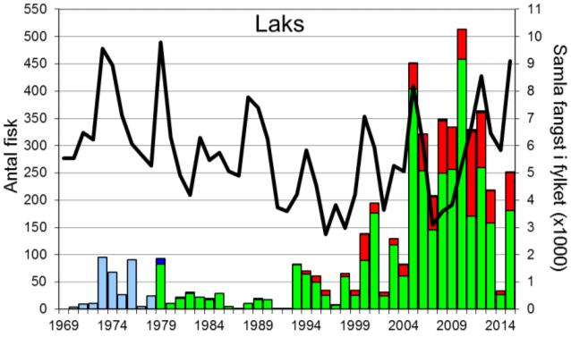 Skjel 2015 FANGST OG SKJELPRØVAR I STORELVA I DALE Fangststatistikk I perioden 1970-99 var gjennomsnittleg årsfangst 33 laks og 12 sjøaure, men frå tidleg på 2000-talet auka fangstane sterkt, og