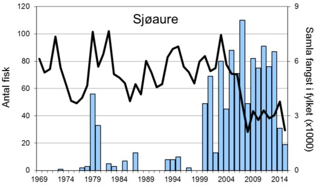 Sidan tidleg på 2000-talet har det vore bra samsvar mellom variasjon i fangst av laks i Storelva og resten av fylket, men fangstane i 2008-10 var relativt sett høgare i Storelva, og fangsten i 2014