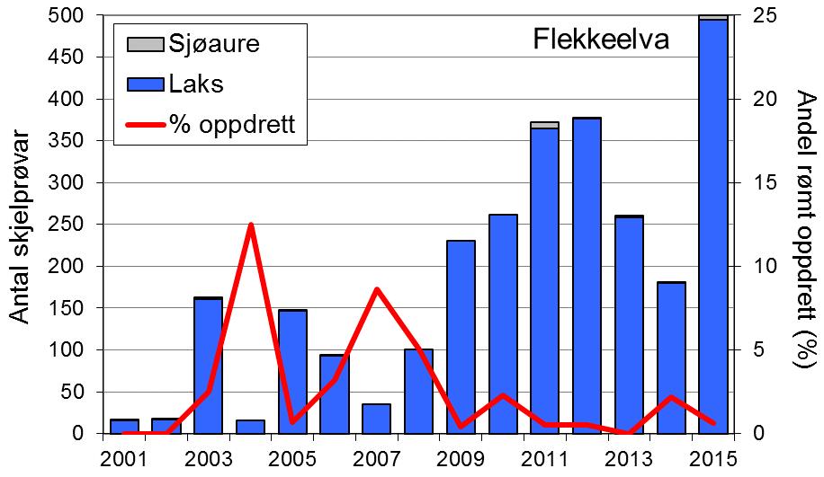 Frå tidleg på 1990-talet har mellomårsvariasjonen i laksefangstane i Flekkeelva har vore ganske lik resten av fylket, men med ein sterkare auke frå midt på 2000-talet (figur 1, linjer).