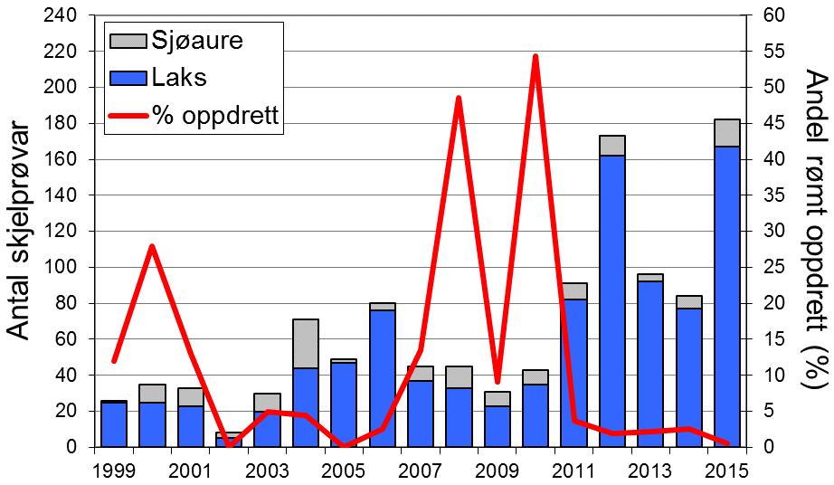 Sidan tidleg på 1990-talet har det vore godt samsvar mellom variasjon i fangst av laks i Sogndalselva og resten av fylket (figur 1, linje), men fangstane i 2007-10 var noko låge i Sogndalselva.