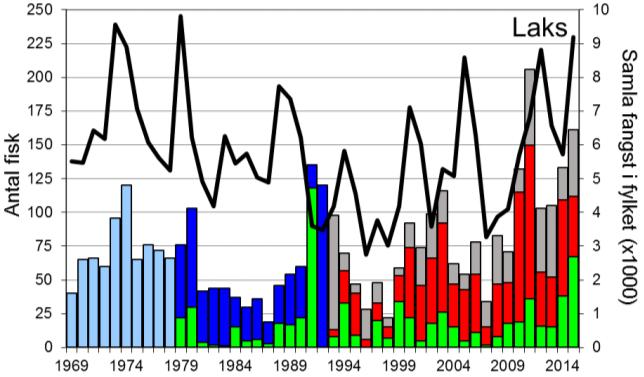 Skjel 2015 FANGST OG SKJELPRØVAR I ÅRØYELVA Fangststatistikk I perioden 1969-2015 var gjennomsnittleg årsfangst 75 laks (snittvekt 6,7 kg) og 62 sjøaurar (snittvekt 1,1 kg).