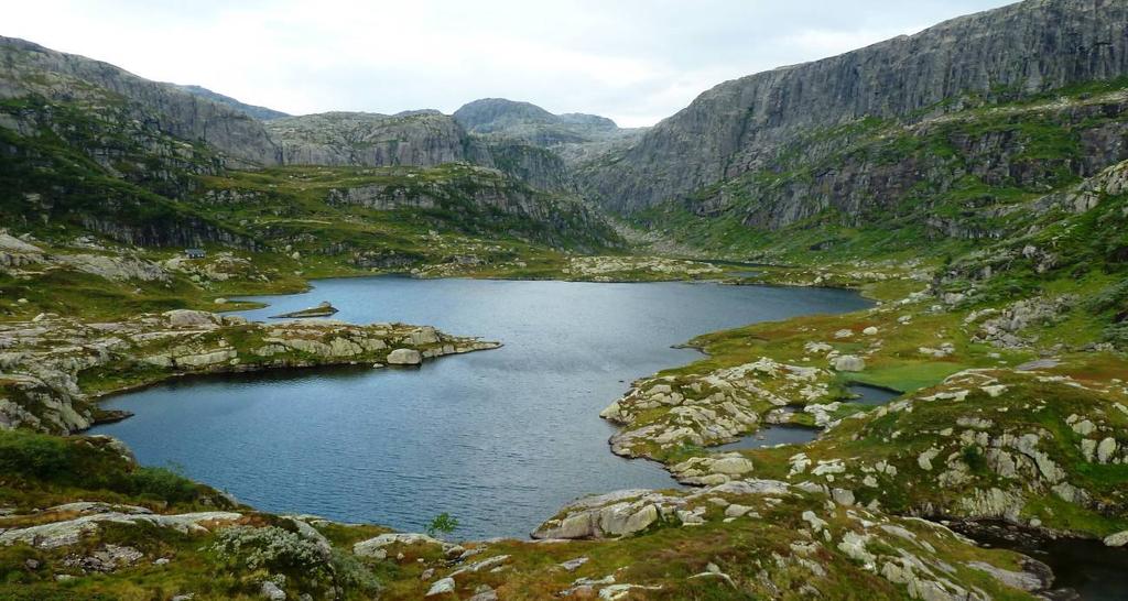 5 ØVRE GODDALSVATNET INNSJØEN Øvre Goddalsvatnet ligger i Godalsvatnvassdraget i Kvam kommune, 8 moh., arealet er,9 km².