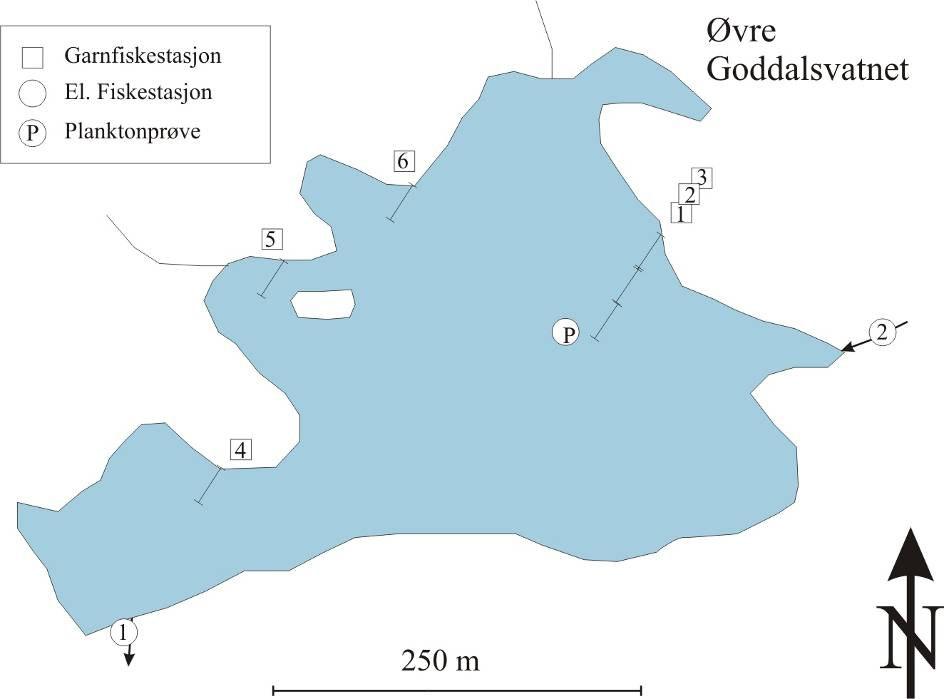 Figur 5.. Kart for Øvre Goddalsvatnet i Kvam. Bekkene som ble elektrofisket er angitt med nummererte sirkler. Stedene der det ble satt garn er avmerket med nummererte firkanter.