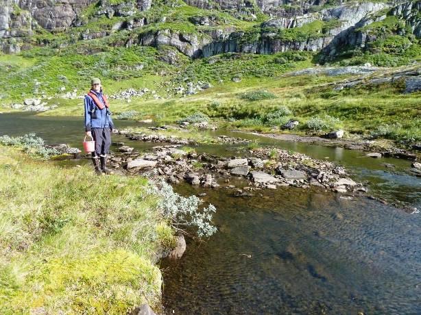 Elektrofiske Utløpsbekk () renner ned i Midtre Goddalsvatnet. Bunnsubstratet er dominert av stein, men noen mindre flekker med grus innimellom.