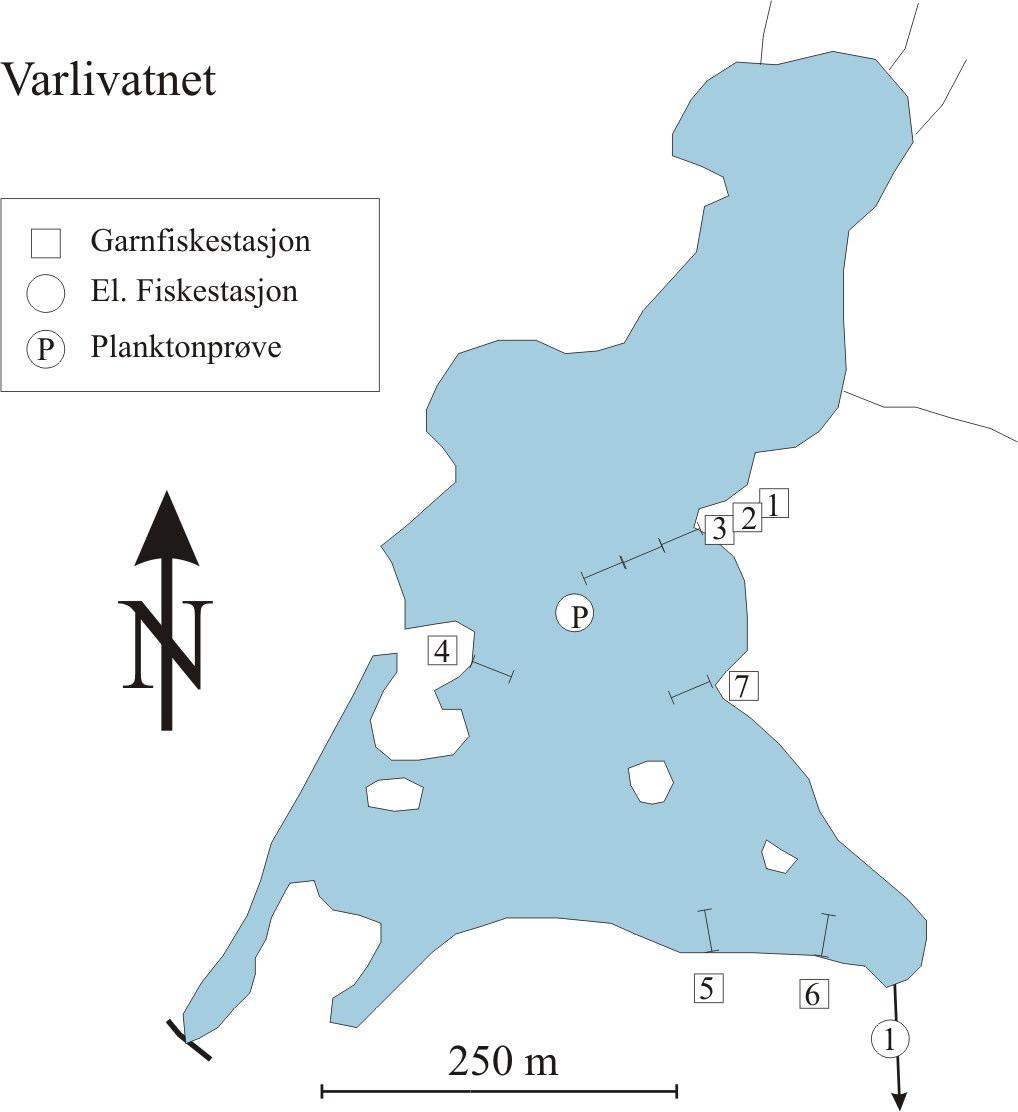 Figur 7.. Kart for Varlivatnet i Kvam. Bekken som ble elektrofisket er angitt med nummerert sirkel. Stedene der det ble satt garn er avmerket med nummererte firkanter.