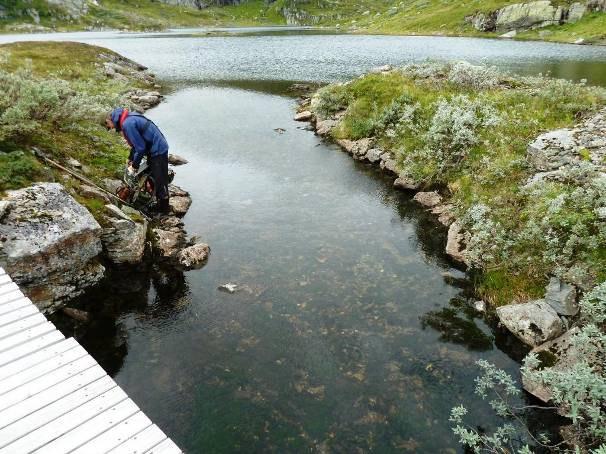 I de to bunngarnene som sto ytterst i lenken, ble det bare fanget en fisk i det ene garnet.