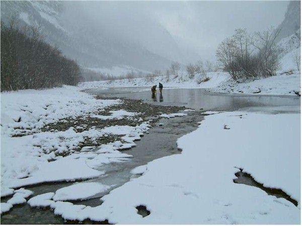 Utlegging rogn i Fretteelva 31.1.2004 Rogna kjem i isopor fra Genbanken i Eidfjord. Rogna er på øyerognstadiet, og har nå ligge 390 døgngrader. Rogna klekker på ca 450 døgngrader.