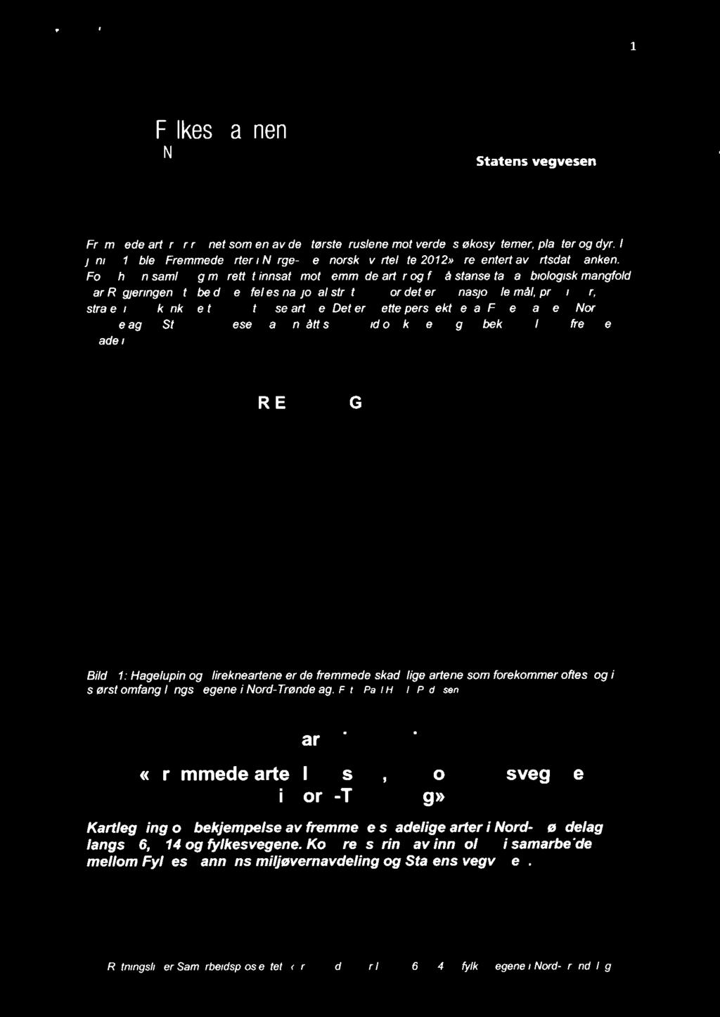 , r 1 à Fylkesmannen i Nord-Trøndelag Statens vegvesen Fremmede arter er regnet som en av de største truslene mot verdens økosystemer, planter og dyr.