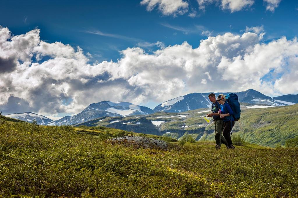 Prosjektplan for utarbeidelse av besøksforvaltningsplan for Børgefjell