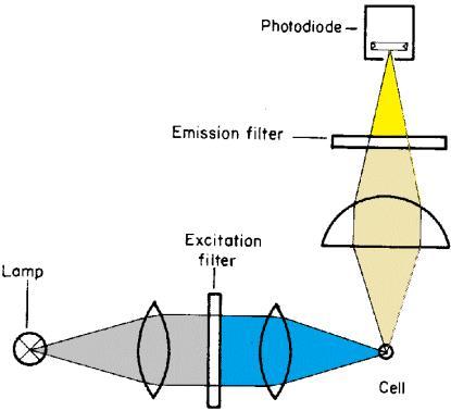 13 3. B. 8. b Fluorescens-detektor Konsentrasjonsfølsom selektiv: kan selektere både på eksitasjons- og emisjons-bølgelengde.
