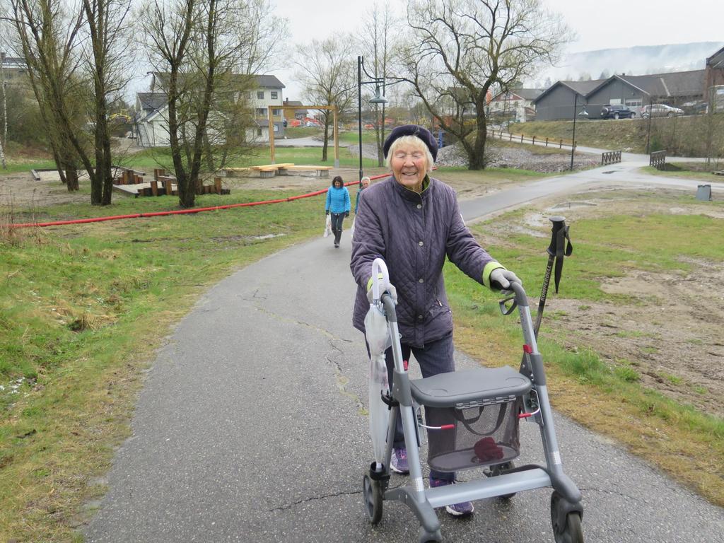 Hvordan nå mål i bygde-/byutvikling om aktive eldre?