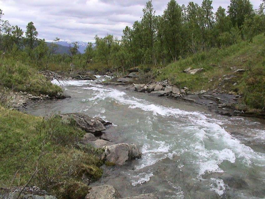 fuktighetskrevende naturtyper, som fossesprøytsoner, kilde og