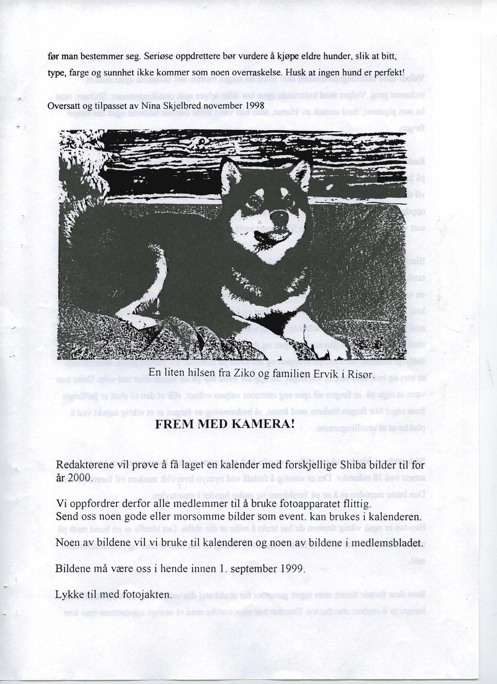 før man bestemmer seg. Seriøse oppdrettere bør vurdere å kjøpe eldre hunder, slik at bitt, type, farge og sunnhet ikke kommer som noen overraskelse. Husk at ingen hund er perfekt!