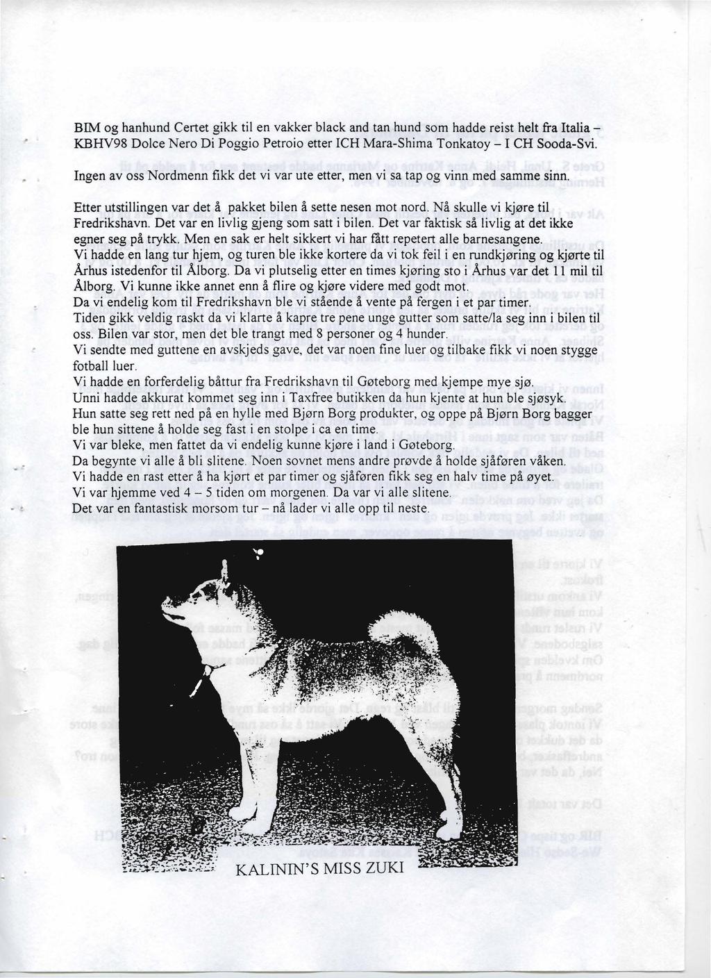 BIM og hanhund Certet gikk til en vakker black and tan hund som hadde reist helt fra Italia KBHV98 Dolce Nero Di Poggio Petroio etter ICH Mara-Shima Tonkatoy - I CH Sooda-Svi.