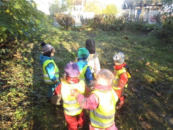 Gjennom hausten har vi hatt fokus på fleire ting når vi er på tur. Vi har trena på å gå i staden for å sitte i vogn. Og at vi må holde i hendene når vi har gått.