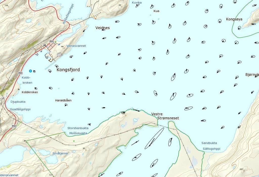 forskning på kalkalger på slutten av 1800-tallet og frem til sin død i 1909.