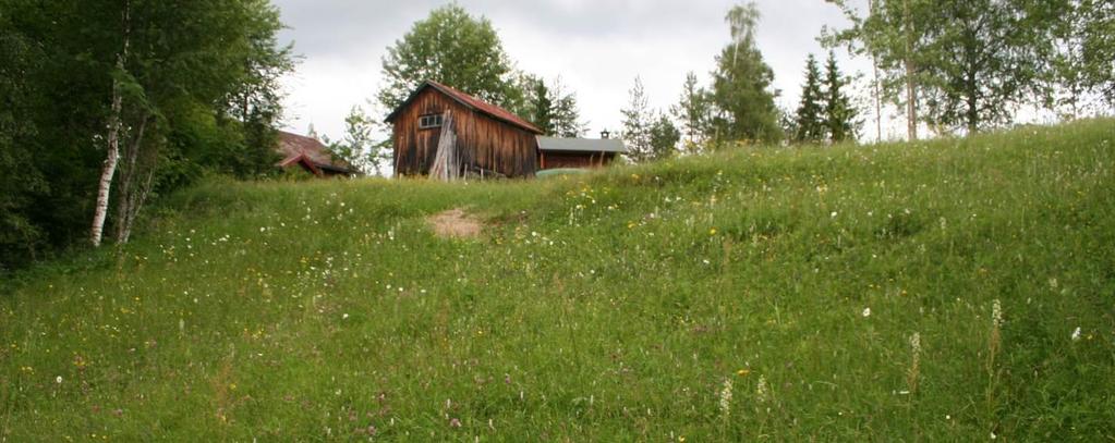 KULTURMINNER: Det forekommer en rekke kulturminner på Nedre Lehovd som også er viktige for det biologiske mangfoldet. Det gjelder bl.a. en rekke rydningsrøyser og steingjerder.