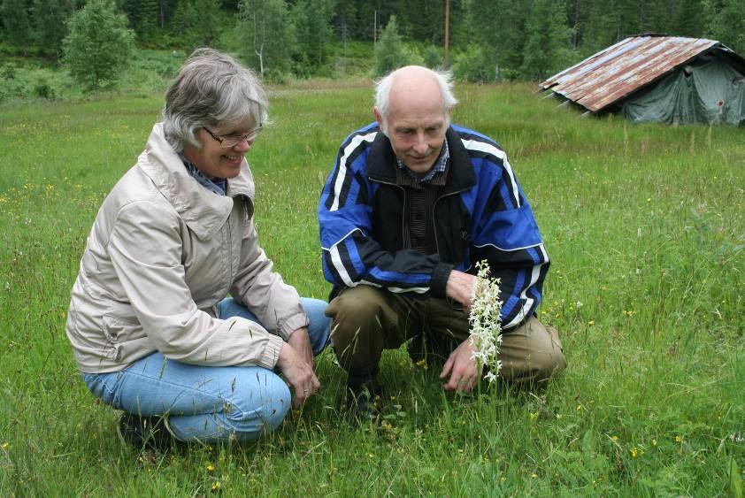 SKJØTSELSPLAN DATO skjøtselsplan: 17.09.14 UTM 32 Ø: 527161 N:6637158 UTFORMET AV: Ellen Svalheim Gnr/bnr.