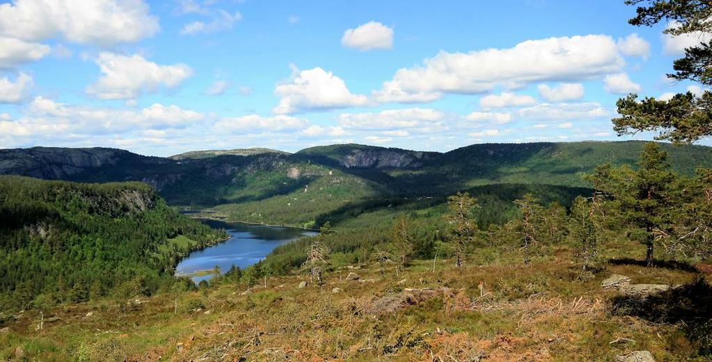 Ledige tomter på Rytterspranget H1 Ledige tomter er merket med grønn stjerne. Byggebestemmelser for Rytterspranget Terrasse Rytterspranget er allerede regulert og godkjent for hyttebygging.