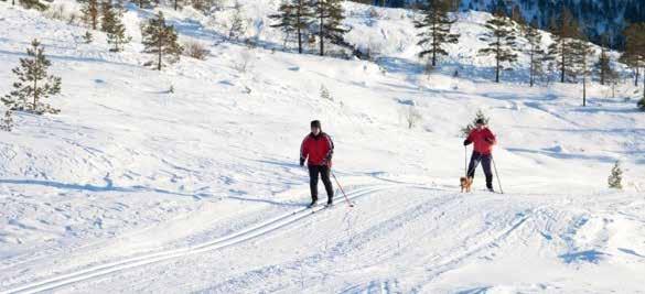 Over 5 mil med maskinpreparerte skiløyper Gautefall har alltid