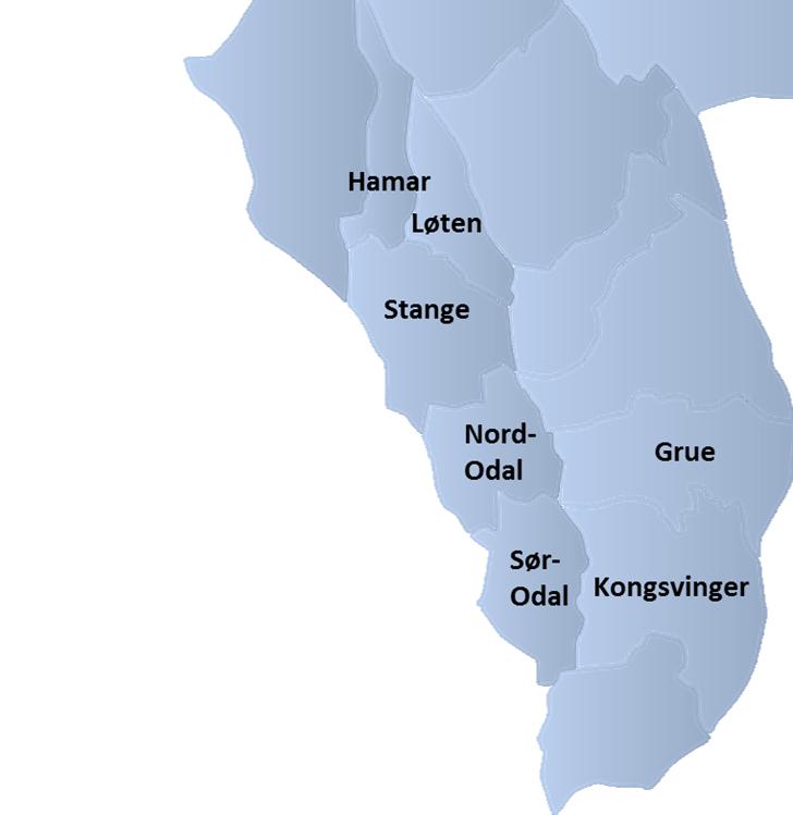 Om Hedmark IKT Organisasjonen 40 ansatte 2 kontorer: Kjonerud og Kongsvinger 6