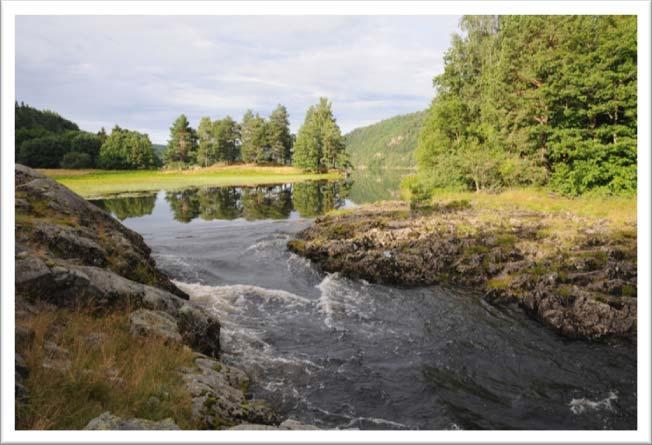 aluminium i brakkvann.