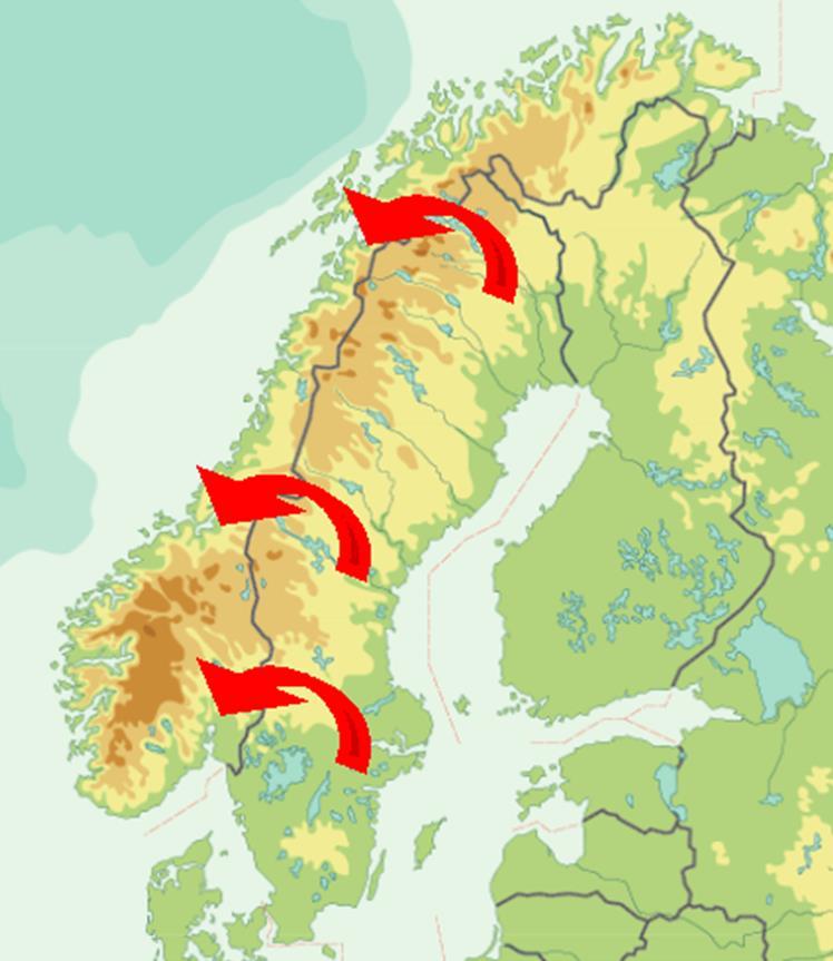 Introduksjon av G. salaris 4 kjente introduksjoner fra Sverige: 1.