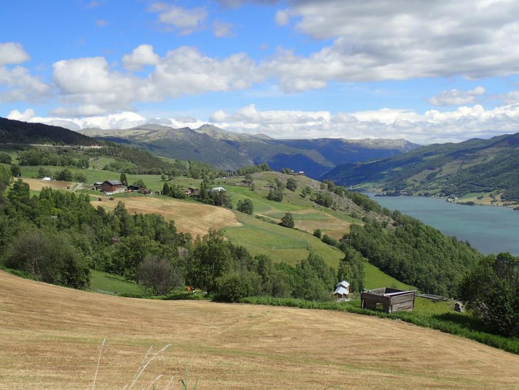 LANDBRUKSAVDELINGEN Regionale miljøtilskudd for