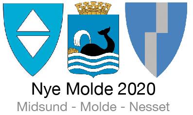 Nye Molde kommune Arbeidet med