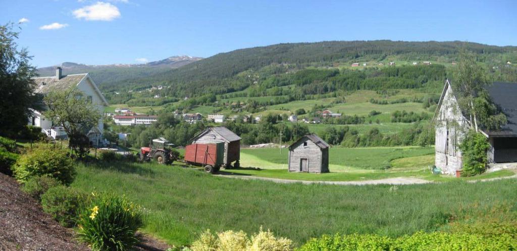 I tilegg ligger et mer eller mindre sammenhengende belte med skog i et brattere parti mellom elvesletta og et slakere øvre parti i nordre dalside.