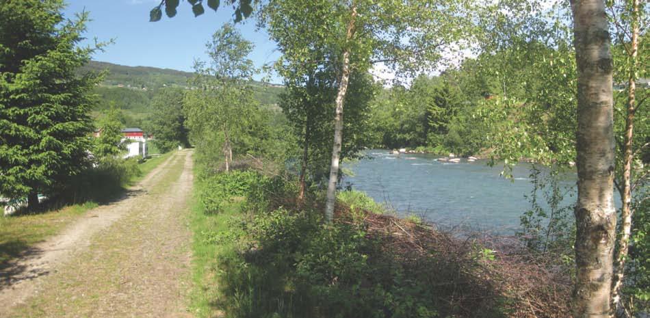 Figur 17. Bilde fra gangveg, med camping til venstre. Gløtt i vegetasjonen eksponerer elva.