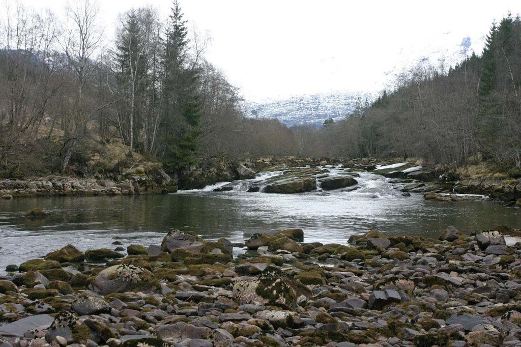 Dato: 27. mars 2009. Elvestrekningene rundt Flølofossen.