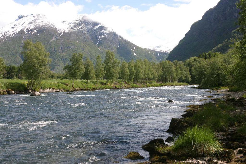 Dato: 4. juni 2009. Elvestrekningen ovenfor Flølo.