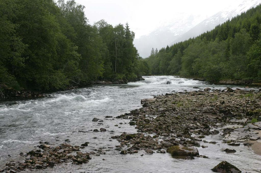 Dato: 4. juni 2009. Elvestrekningen nedenfor Flølo.