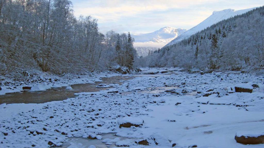 Elvestrekningen ovenfor Flølofossen. Vannføringen på bildet er beregnet til ca. 2,6 m 3 /s.