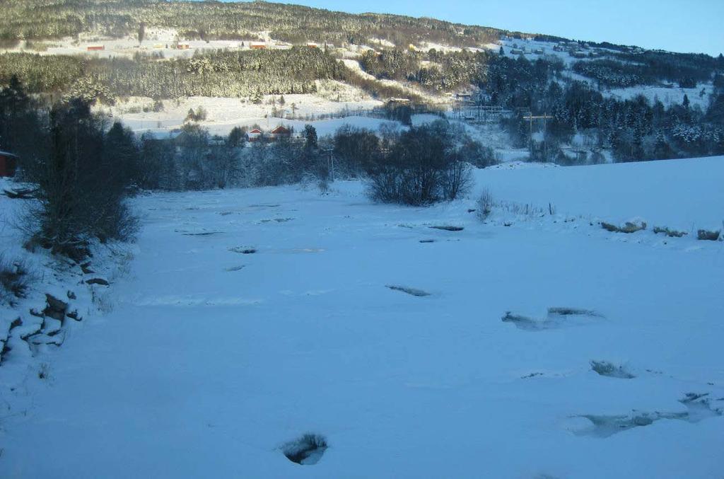 Dato: 7. februar 2009. Elvestrekningen ovenfor og nedenfor Seimebrua.