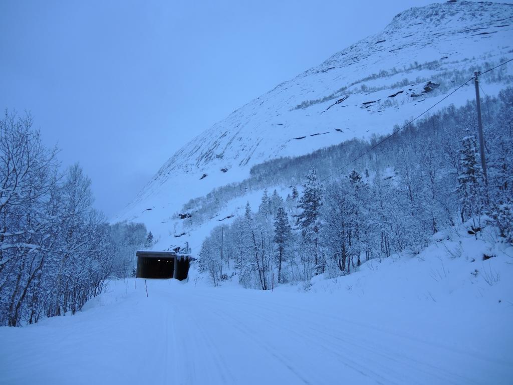 Foto 4[PN_0846]: Oversikt Søndre påhugg tatt mot nord. Omtrentlig påhuggsplassering er markert med rødt.