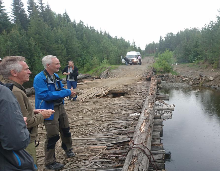 Veiene og bruene nærrett under Uralfjellene var utfordrende. Foto: Kjetil Johannessen Robust skogsmaskin kom godt frem på dårlige veier. Foto: Audun Brekke Skrindo 16.