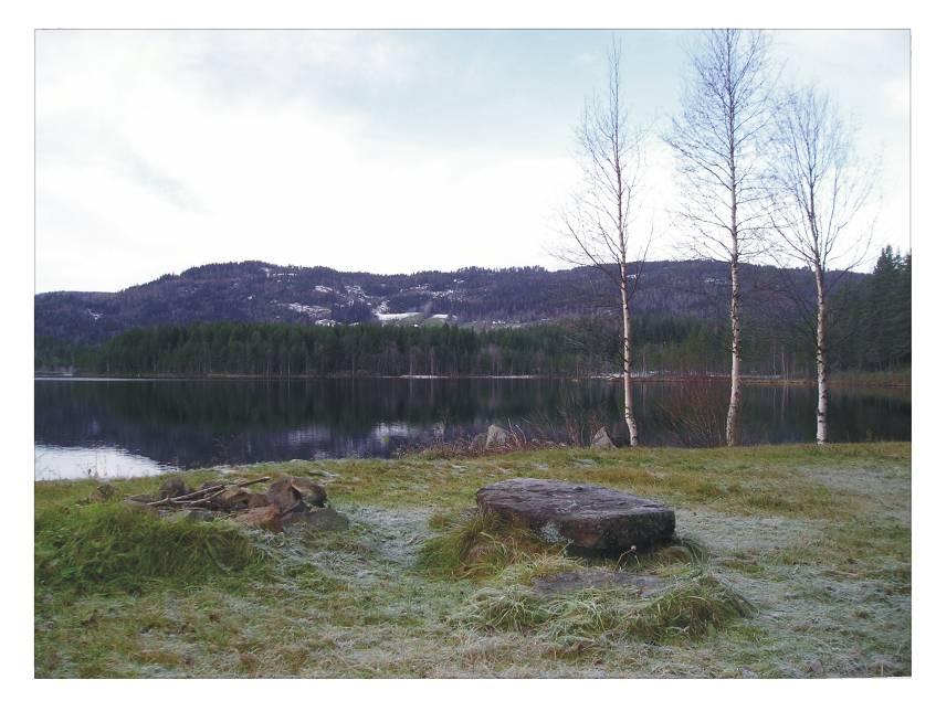 Kommunedelplan Vatnebrynvatnet 8 Ill 5: Bålplass på østbredden av Vatnebrynvatnet 2.9 Hytter Pr i dag er det ca 80 hytter innenfor kommuneplanområdet.