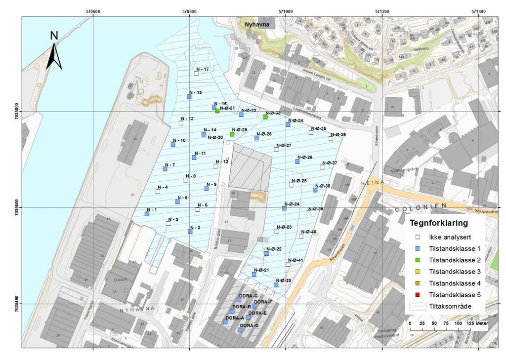 Side: 48 Figur 18 Klassifisert kjemisk tiltak i filterlaget i Nyhavna.