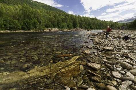 Sone 6 består av fossestryk og en rekke fosser (Figur6-14), som endte i en flere meter høy foss ved kote 195 (Figur6-15og Figur6-16).