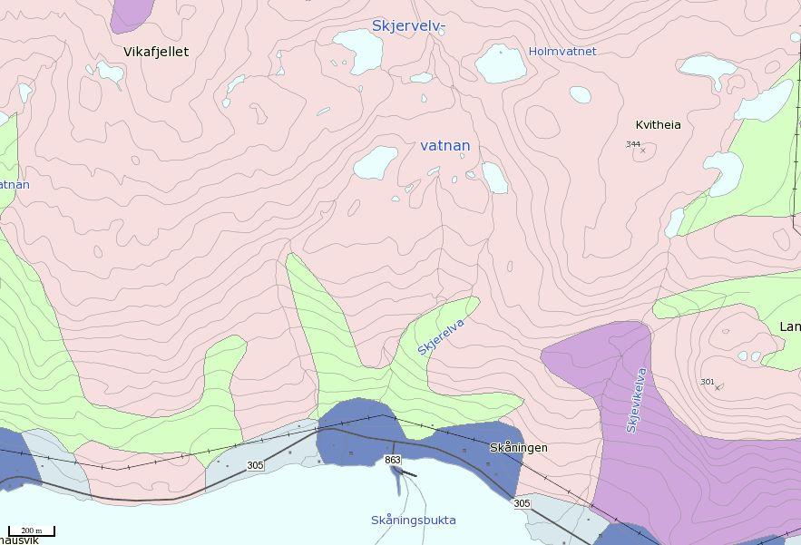 Figur 5. Berggrunnskart over sørlige deler av Vannøya viser at området er dominert av tonalittisk gneis (rosa farge). Dette gir sure substrater. Kilde: Norges geologiske undersøkelse. 6.2.