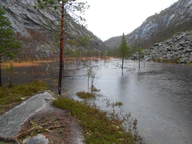 Storskogvatnet hengebru brua foreløpig ok, men omtrent samme alder som Mellomforsbrua. Brua skal skiftes ut i 2012. Litlverivassfossen hengebru tilstanden til brua er god.