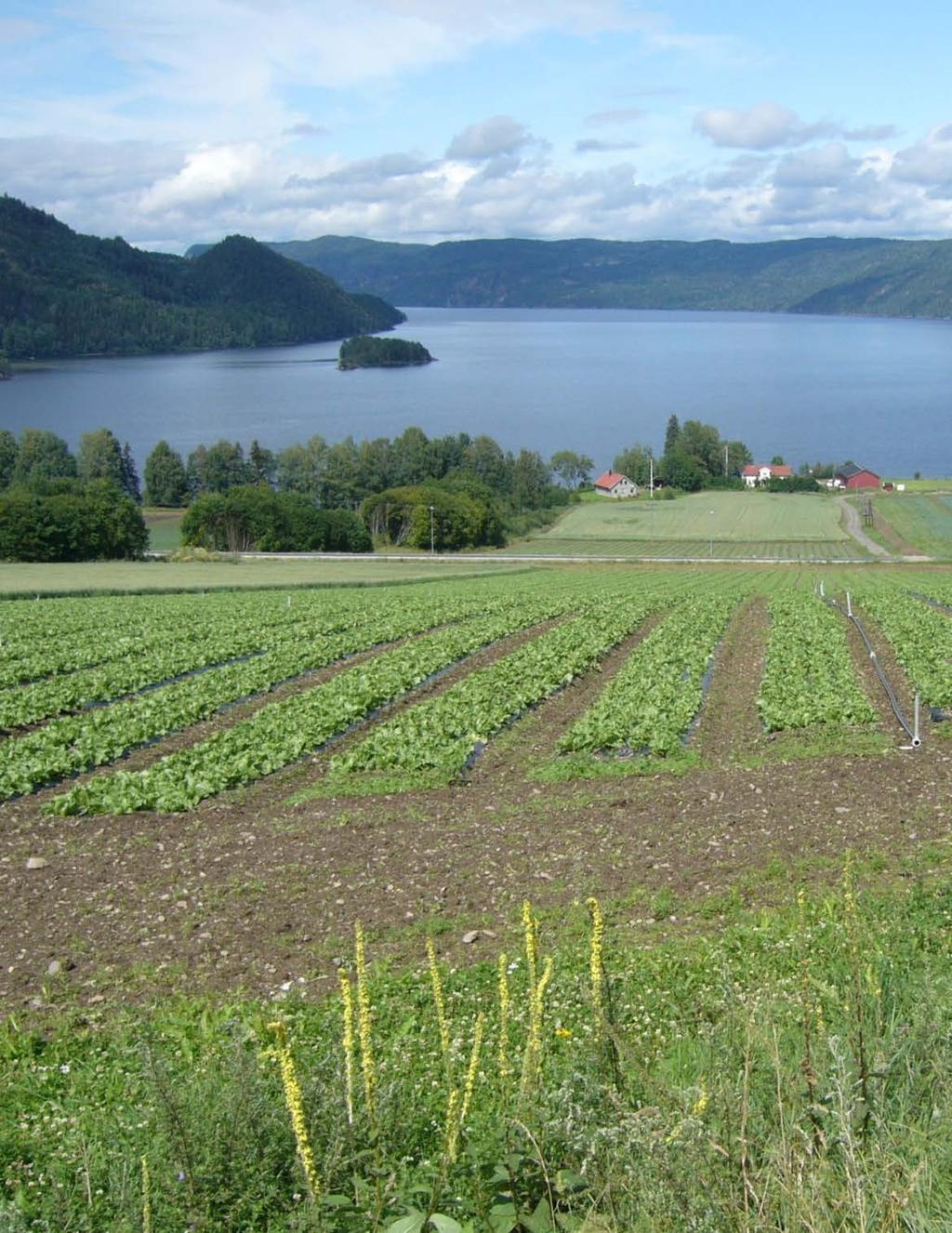 Veileder for søknad om: Regionale