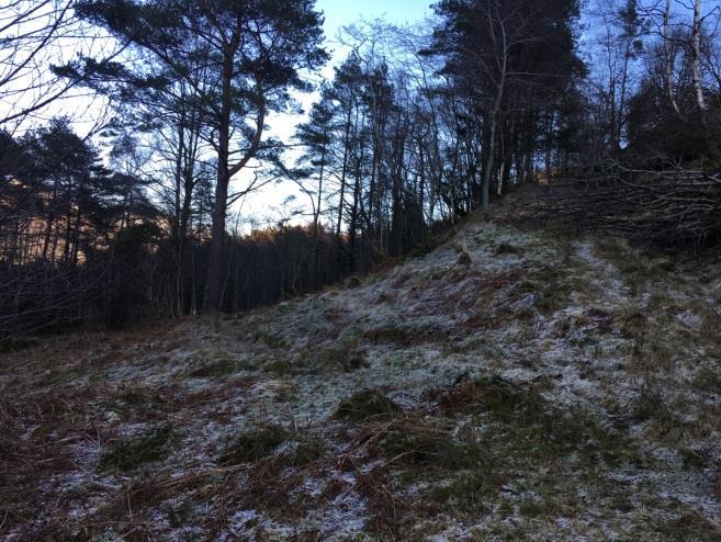 konsekvensutgreiing Planområdet er i samsvar med kommuneplanenes arealdel, der arealet er avsett til råstoffutvinning.