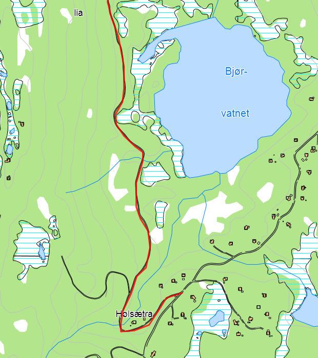 1B: Vegen går fra Juvenesvegen ved Hølsetra, i Bjørvasslia.