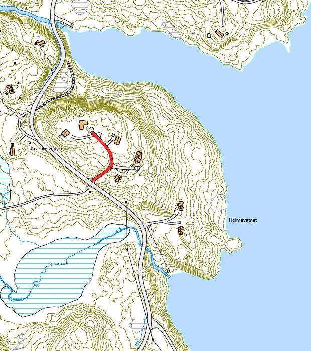 25 : Vegen går fra Fagerfjellvegen på haug vest for Holmevatnet Navneforslag: Holmevasshaugen Begrunnelse: