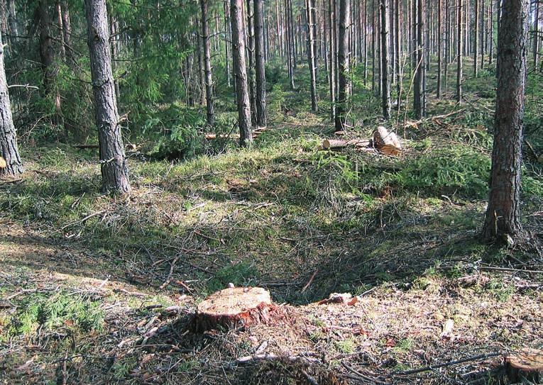 4 Presentasjon av området 4.1 Eidskog kommune, Hedmark Eidskog kommune hadde ved årsskiftet 2006/2007 6385 innbyggere.